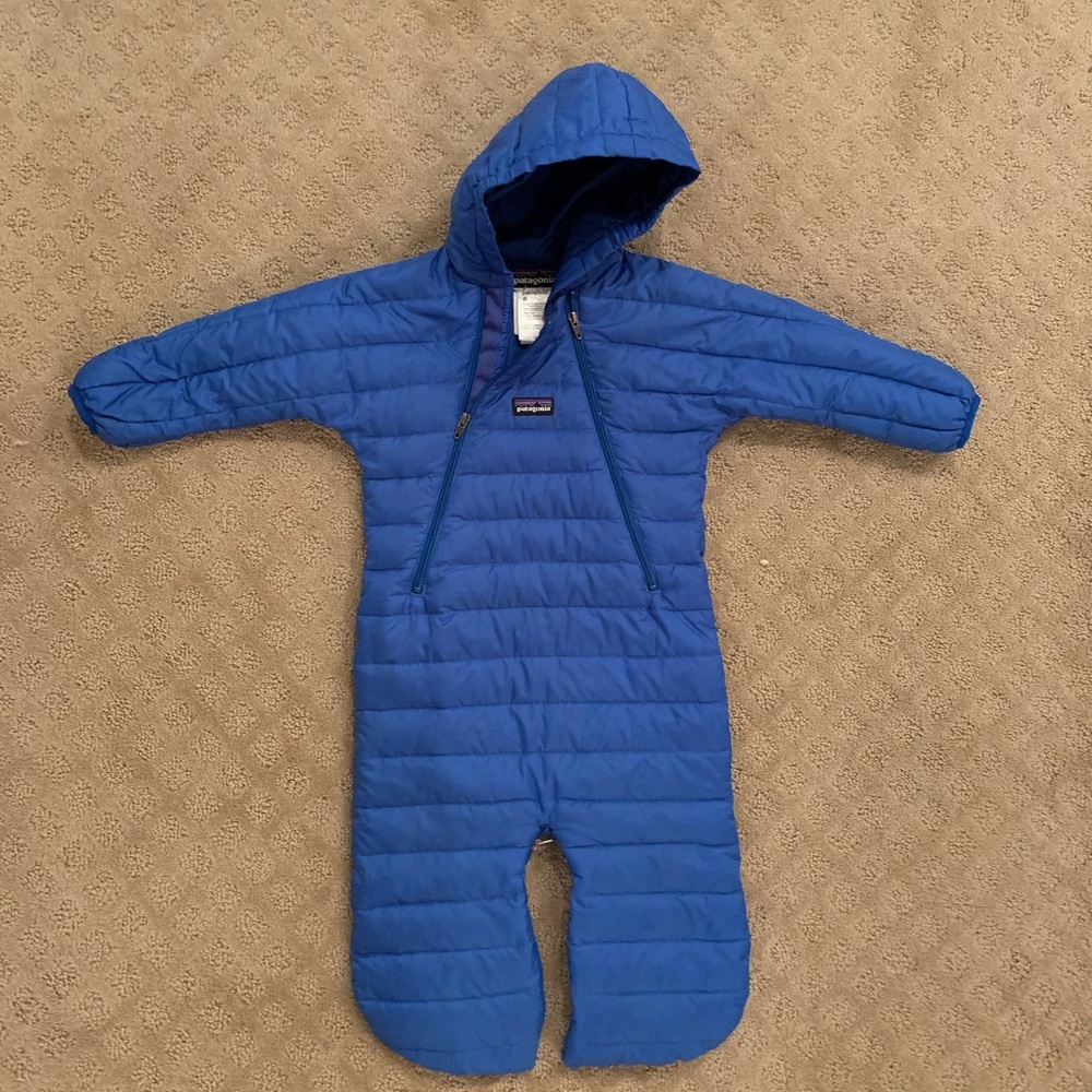 Patagonia Bunting